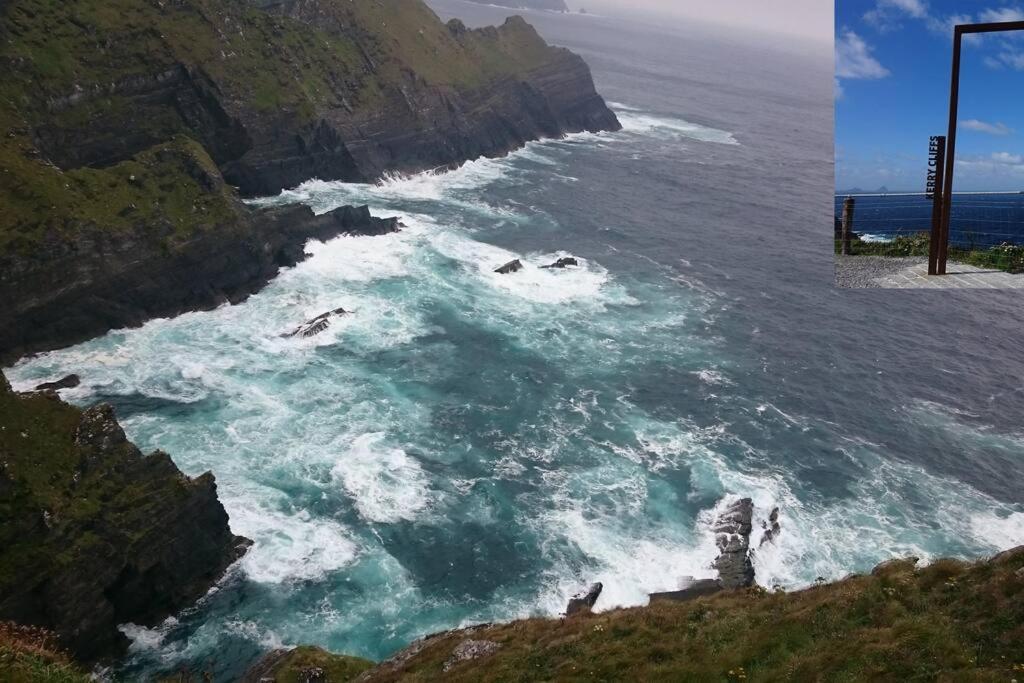 Skellig View Bluebell Rose & The Kerry Cliffs