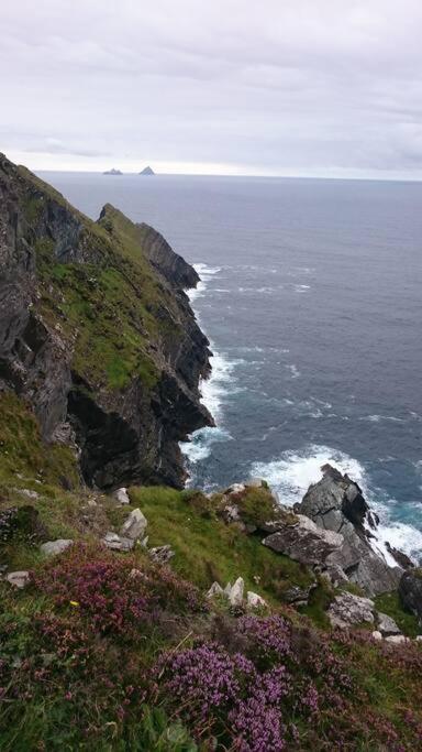 Skellig View Bluebell Rose & The Kerry Cliffs Apartment *