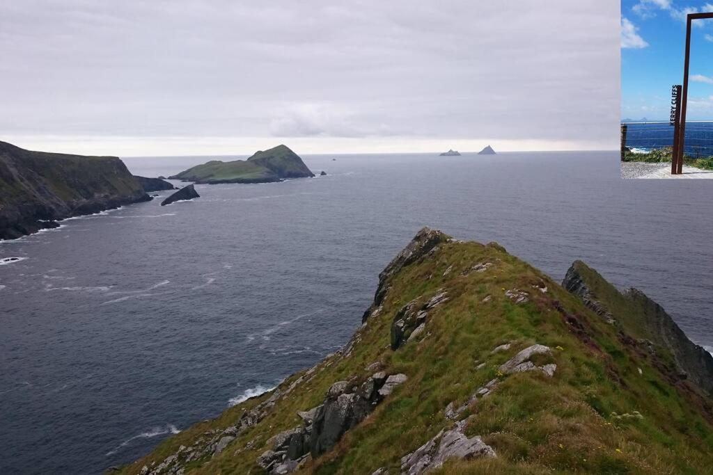 Skellig View Bluebell Rose & The Kerry Cliffs *